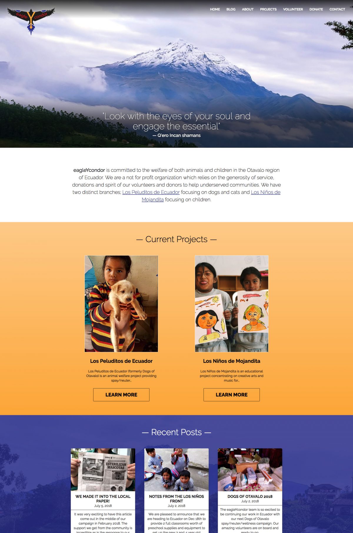 eagle Y condor website
